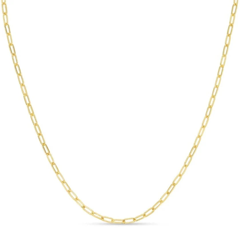 Splendid Iris Delicate Link Chain Necklace, N7374