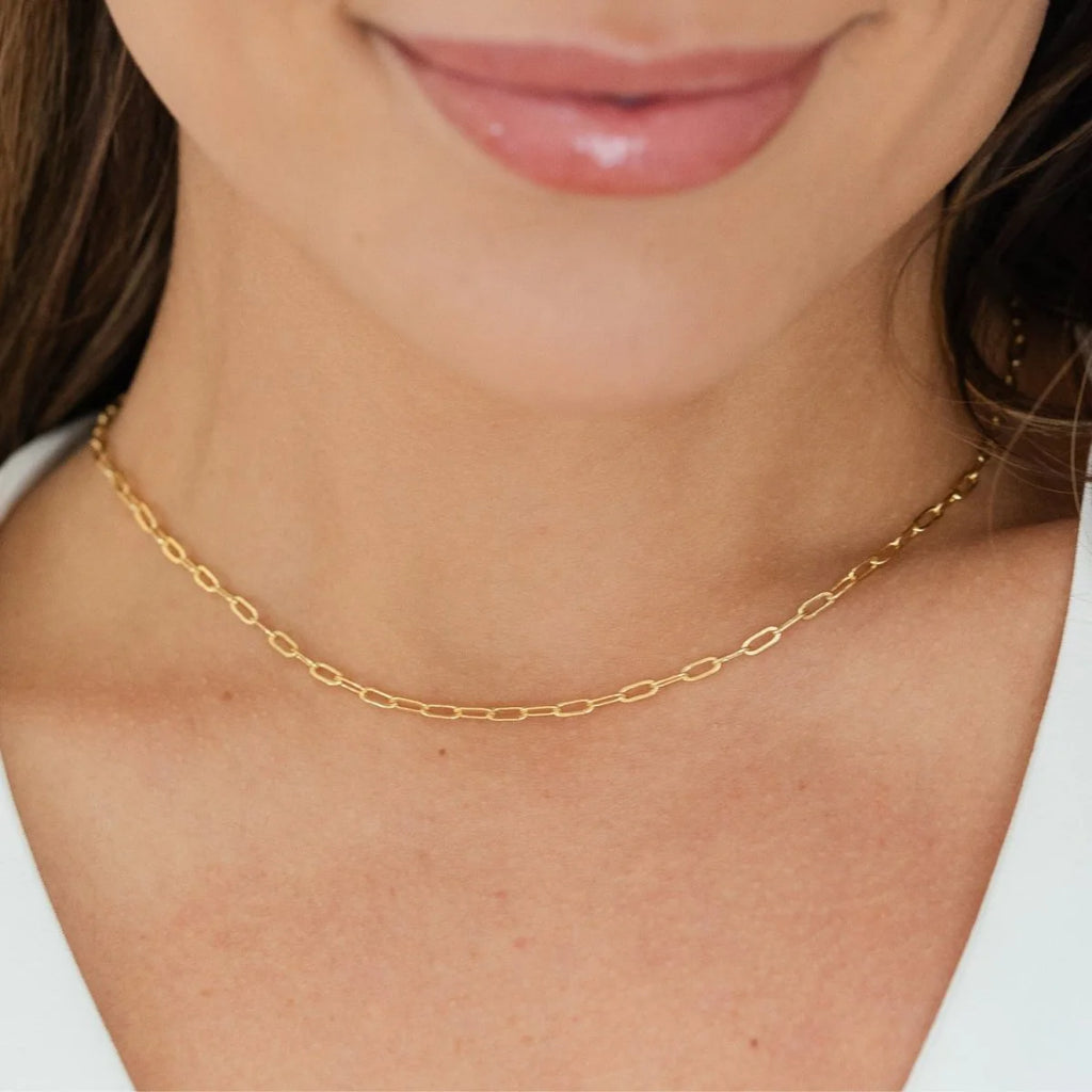 Splendid Iris Delicate Link Chain Necklace, N7374