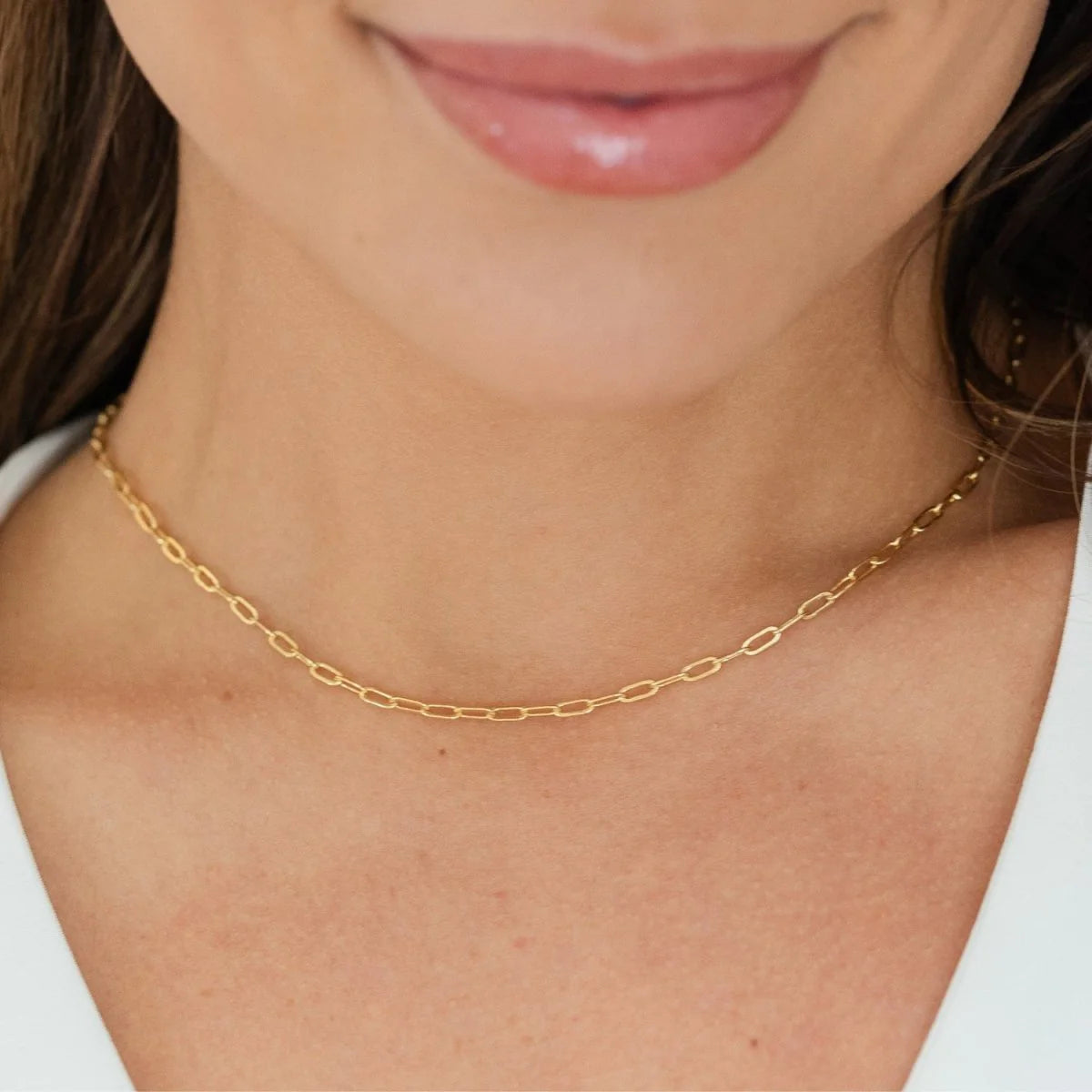 Splendid Iris Delicate Link Chain Necklace, N7374